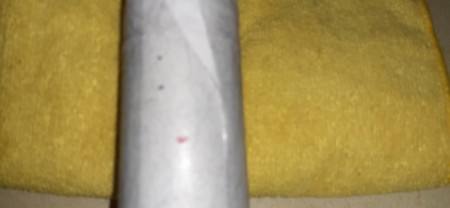 Bugs on a white background.