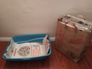 A cat box lined with newspaper.