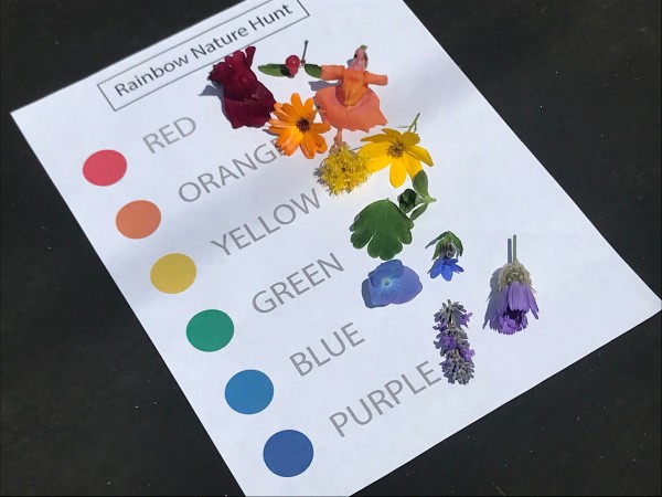 Rainbow Nature Hunt - printout of the rainbow colors with cut flowers matching each color