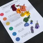 Rainbow Nature Hunt - printout of the rainbow colors with cut flowers matching each color