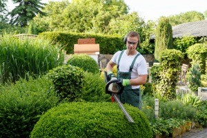A man using a hedge trimmer.