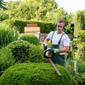 A man using a hedge trimmer.