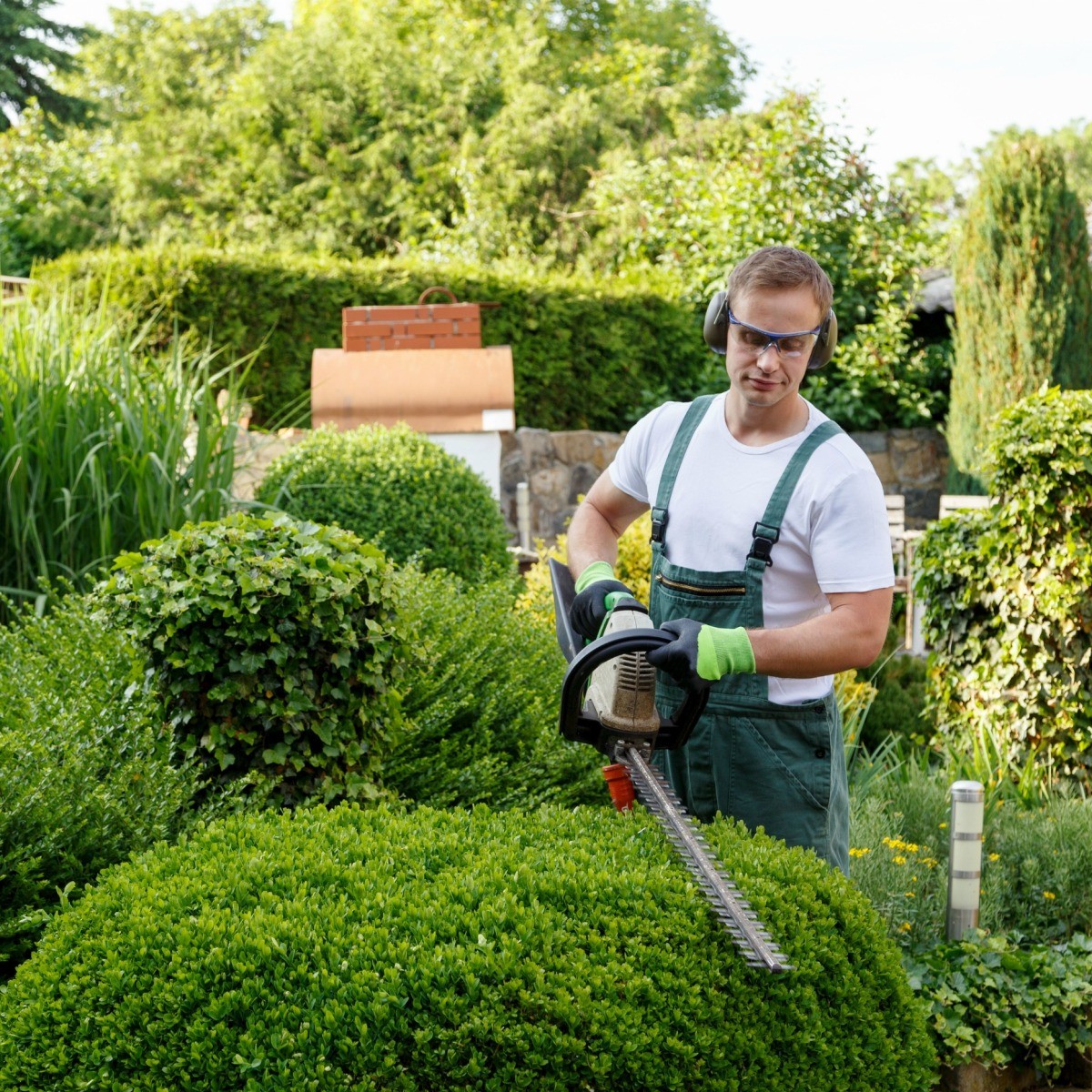 Value of Pennsylvania Trimmer | ThriftyFun