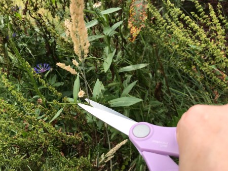 Nature Weaving - snipping a plant