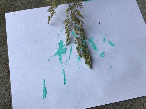 Natural Paint Brushes - painting with a grass head