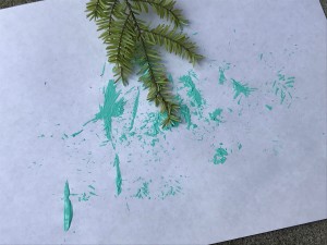 Natural Paint Brushes - fir branch painting