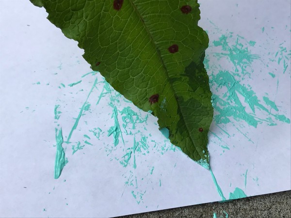 Natural Paint Brushes - leaf tip painting