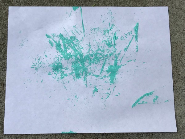 Natural Paint Brushes - finished painting