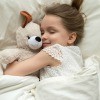 A little girl in bed with her stuffed animal.