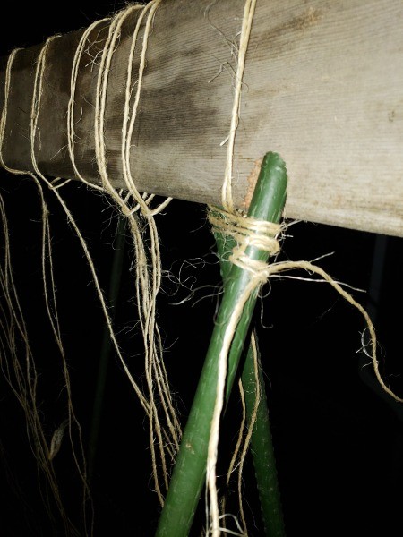 support stake set in ridge board hole