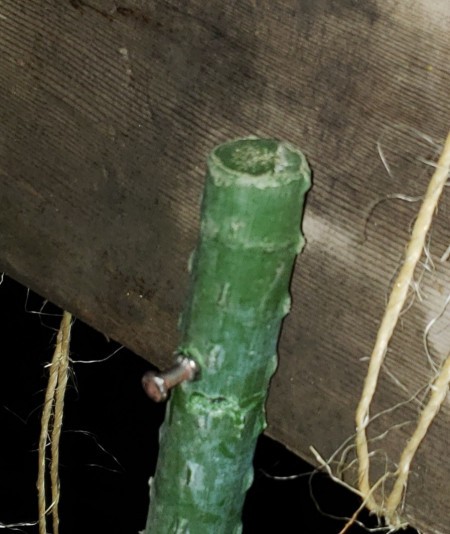 nailing the support stake to the ridge board