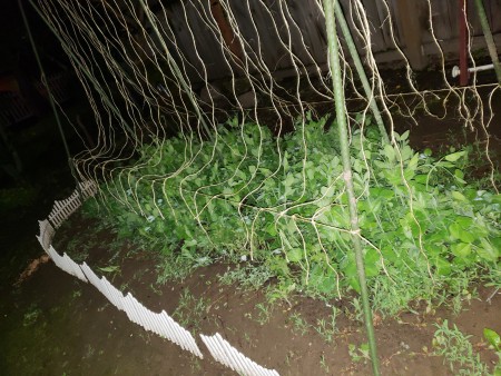 horizontal cord between supports with vertical cords knotted in place