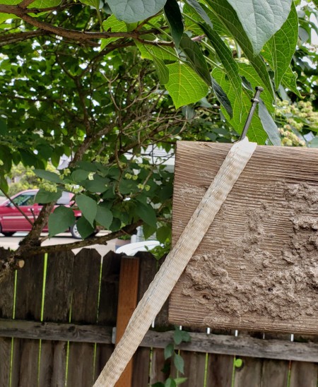nail in place on ridge board