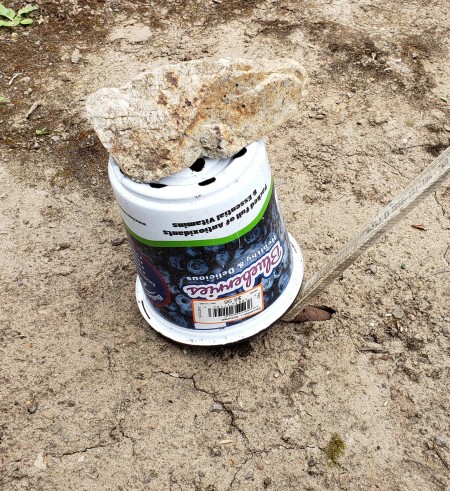 stake covered with a bucket and large stone holding it in place