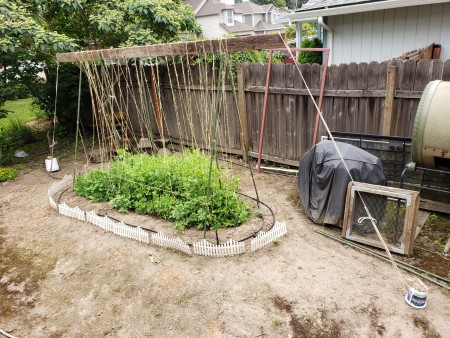 Crafty Pea trellis - full view of the finished trellis