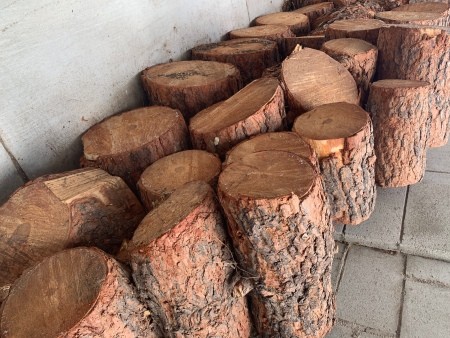 Several logs of pinewood.