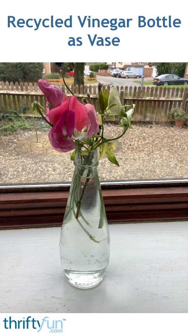 Recycled Vinegar Bottle as Vase ThriftyFun
