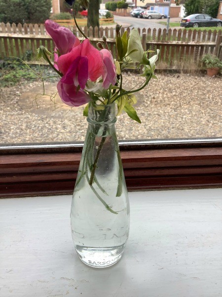 A recycled vinegar bottle used as a vase with sweet peas