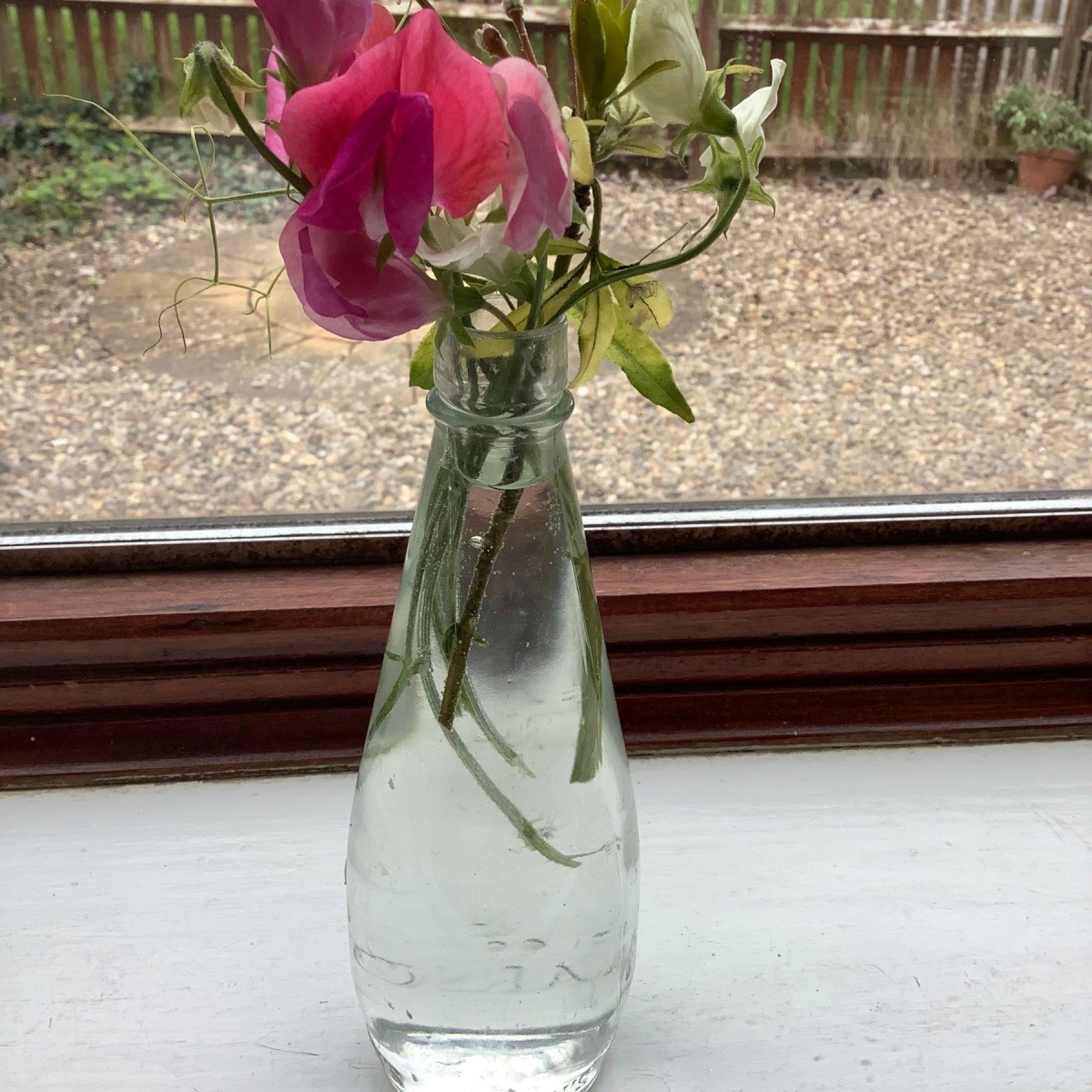 Recycled Vinegar Bottle as Vase ThriftyFun