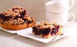 A piece of blueberry coffee cake.