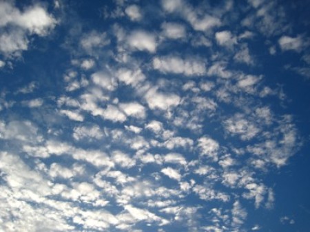 Clouds in the sky.