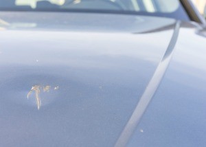 A car hood with a small dent.