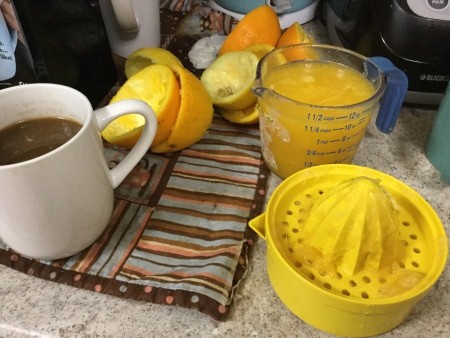 Freshly squeezed orange juice.