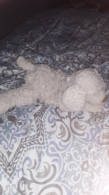 Identifying an Old Stuffed Toy?