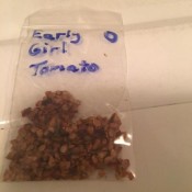 A small plastic bag containing Early Girl tomato seeds.