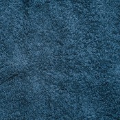 A blue carpet.