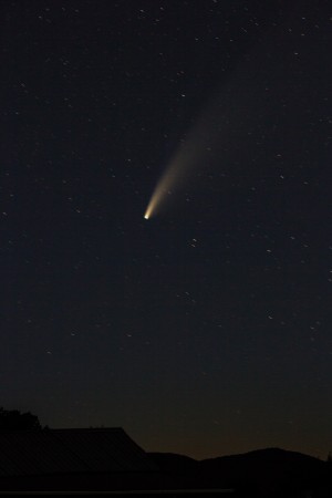 The NEOWISE comet in a dark sky.