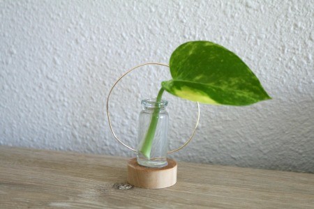 Minimalist Propagation Plant Stand - second stand similarly set up