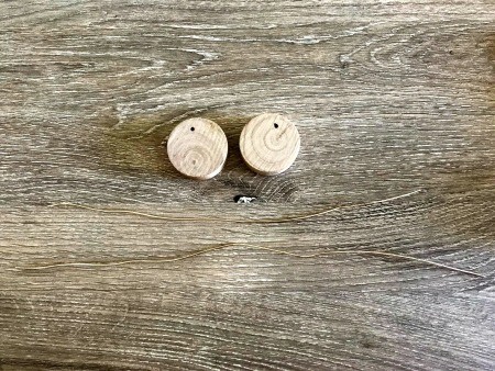 Minimalist Propagation Plant Stand - wooden circles next to each other