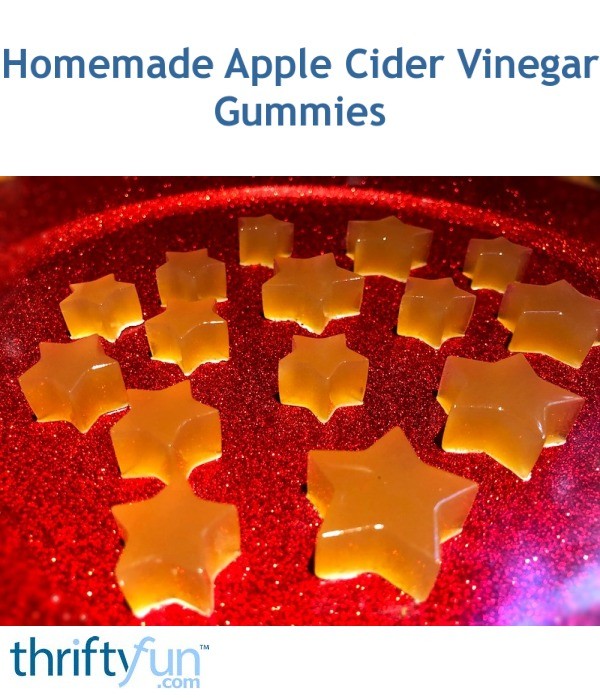 Homemade Apple Cider Vinegar Gummies ThriftyFun