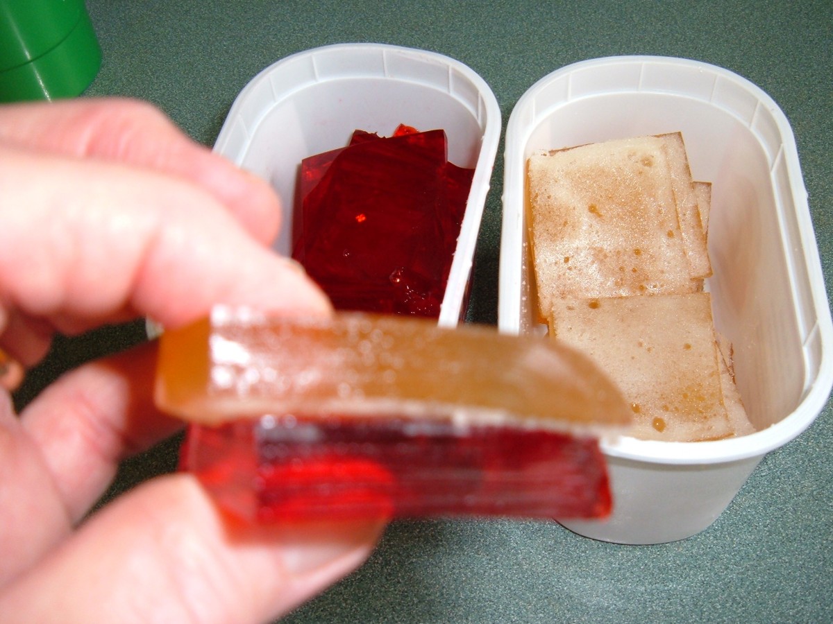 Homemade Apple Cider Vinegar Gummies ThriftyFun