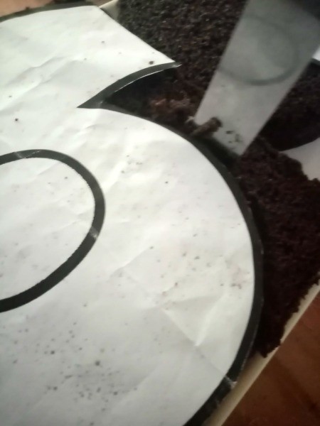 Number Cake Craft - cut out number shape