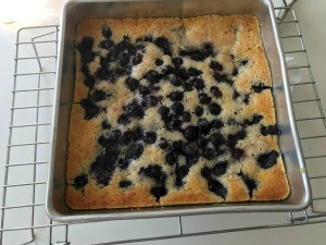 A baked fresh blueberry cobbler cooling in the pan.