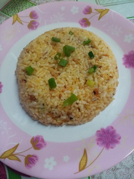 A plate of java rice, garnished with spring onions.