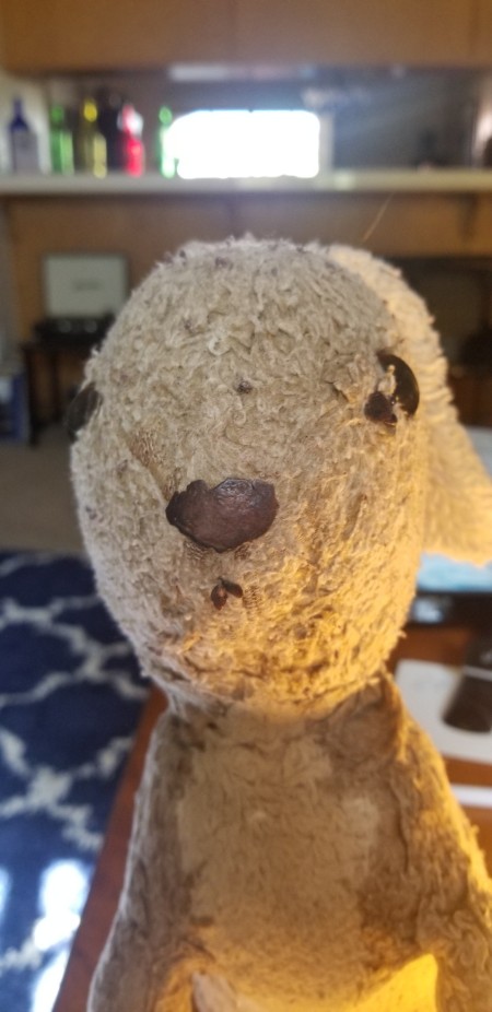 Identifying a 1970s Rabbit?