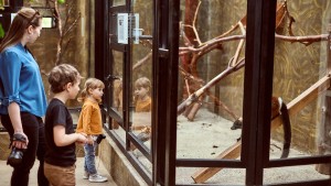 A family looking into a cage at the zoo.