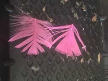 Foil and Batting Little Birdie Sculpture - pink feathers before being painted blue