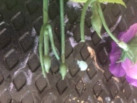 Foil and Batting Little Birdie Sculpture - faux flower stems cut for bird's feet