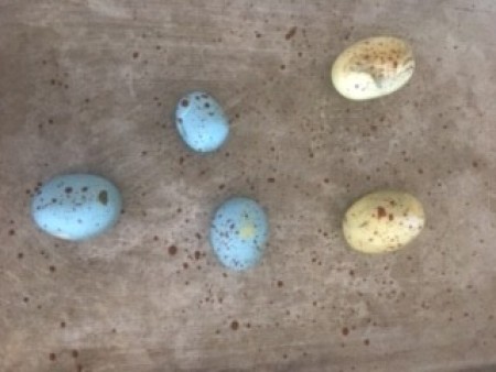 Topiary Watering Can Bird's Nest Decor - finished eggs