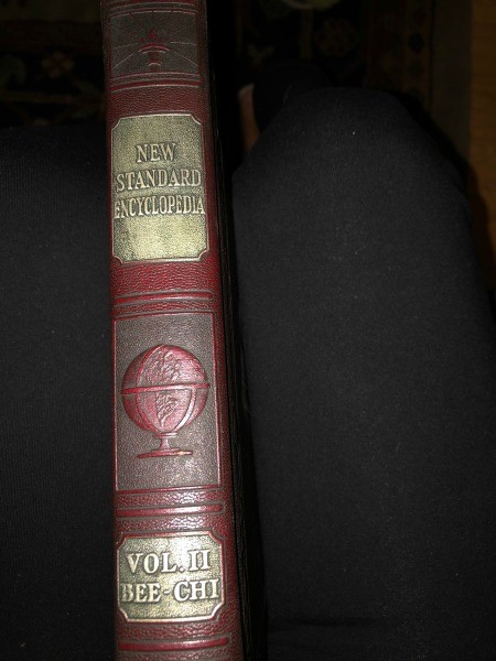 The spine of a 1929 New Standard Encyclopedia.