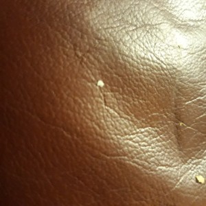 A small white fleck on a leather back.
