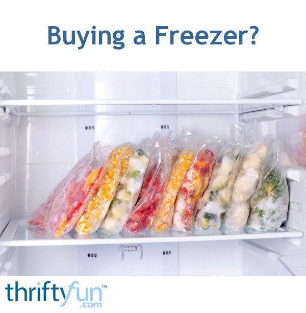 stuffed animals in freezer