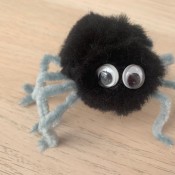 Pom Pom Spider - glue on eyes