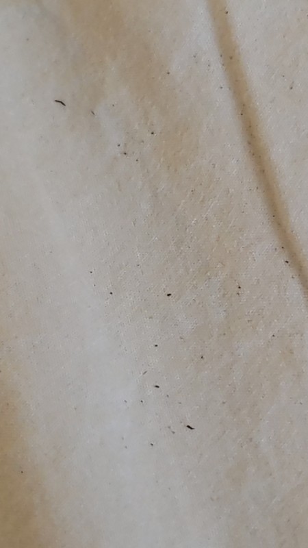 Small black dots on a white surface.