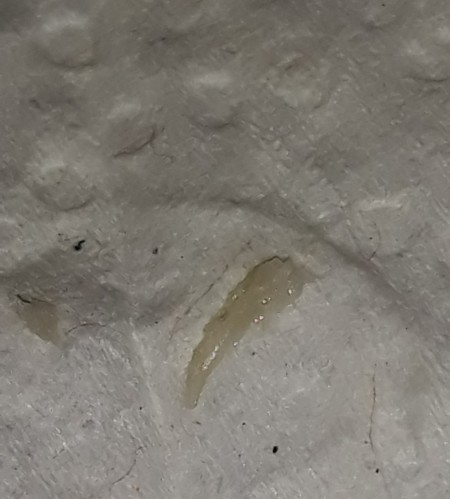 A yellowish smear on a white background