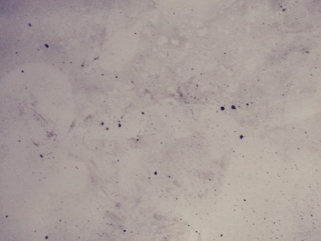 Small dots on a marble surface.